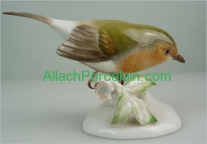 Rotkehlchen_009